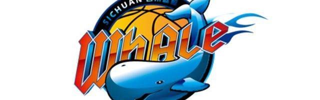 开云官网-四川再输山东遭遇29连败 创造联盟历史纪录